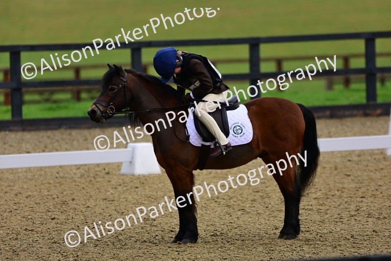 20260125-0509 - Class 9b - Walk Trot Unassisted