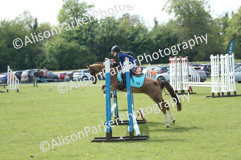 20260426-1689 - Class 14 - Novice 60cm