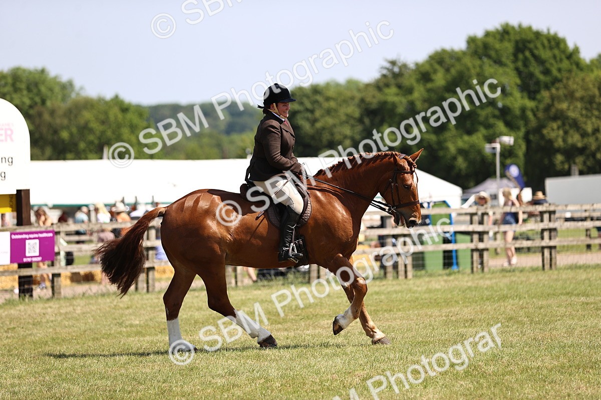 SBM_17751 - Class 81-83 - TSR Ridden Amateur of the Year - Horses
