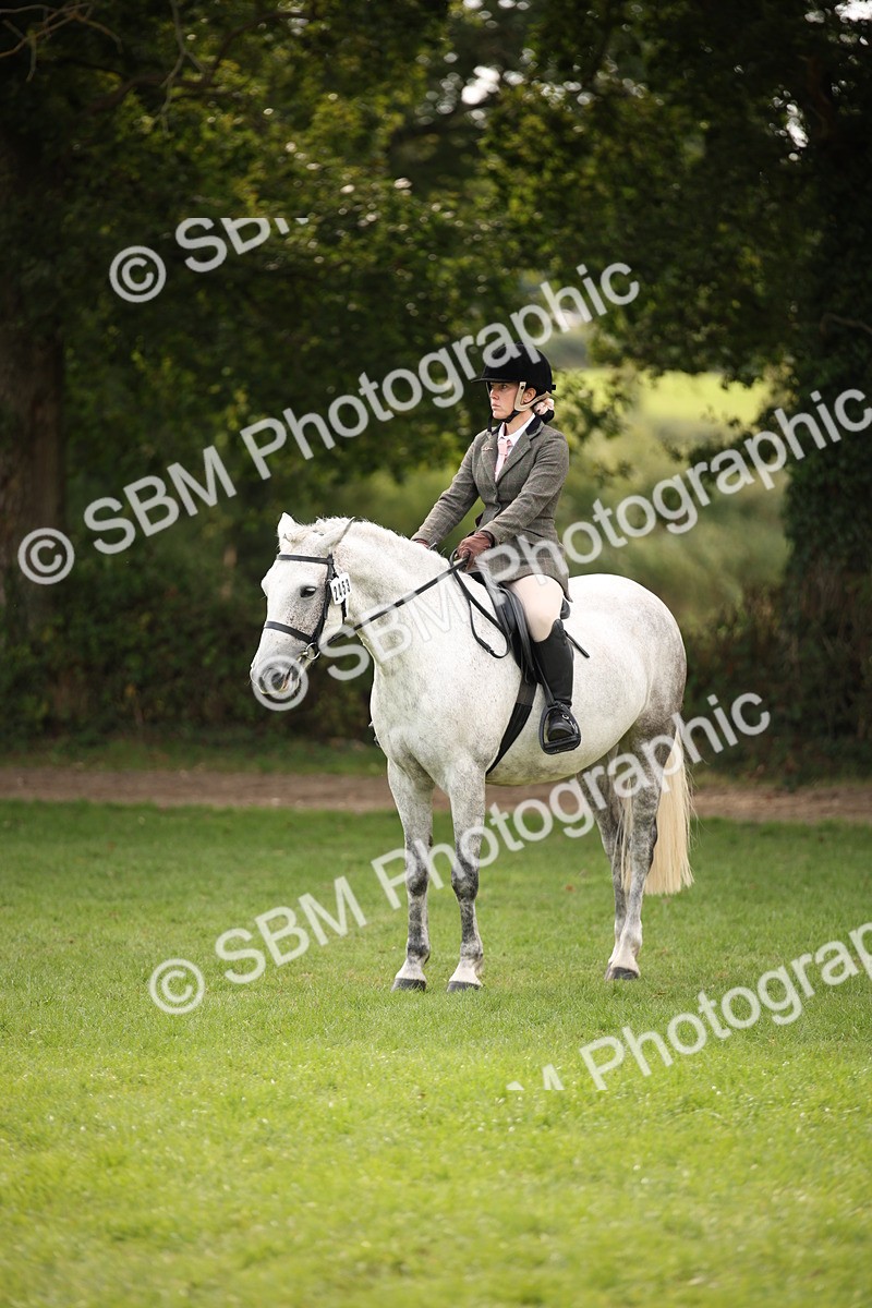 SBM_70431 - S66 - Hunter Ridden