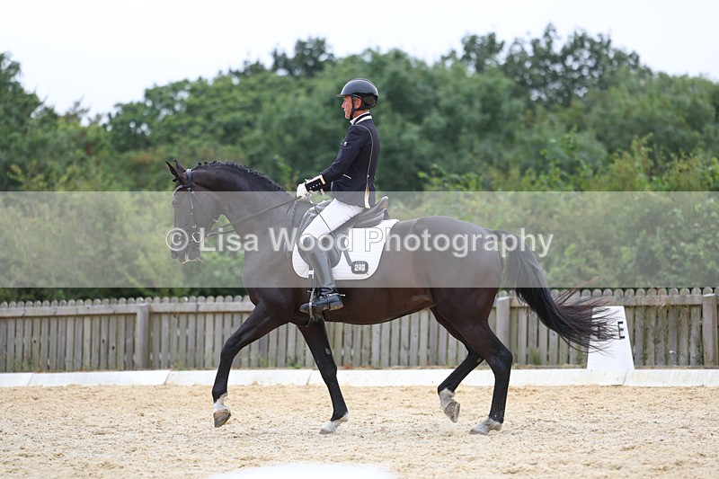 3E7A7266 - Class 9: Elementary 4 2024 - No sections