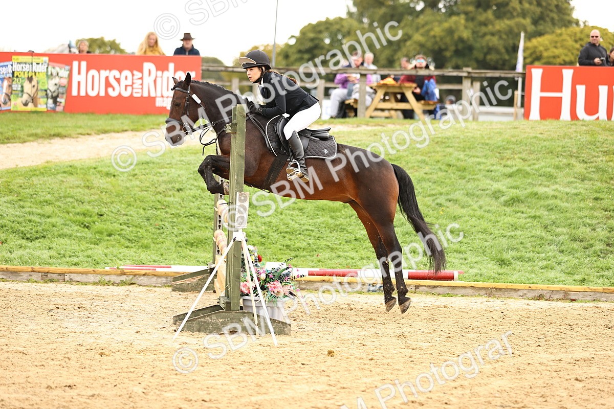 SBM_58288 - J41 - Grand Tour Horse & Pony 95cm