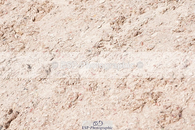 250510-124456-11324 - Cls 15 Prestige Big Star Quali  2nd Jump Off