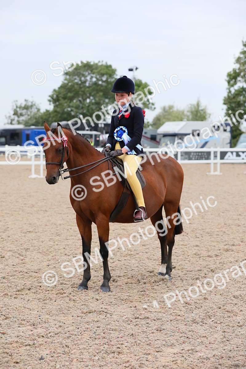 SBM_18216 - Class 316 Best Pony/Rider Combination