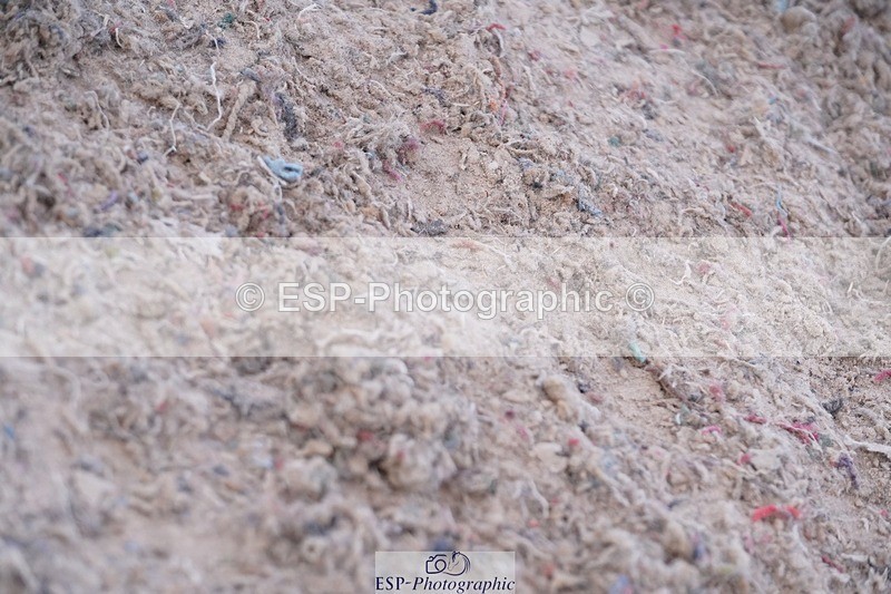 250627-195714-00569 - Cls 10+11 Children on Horses