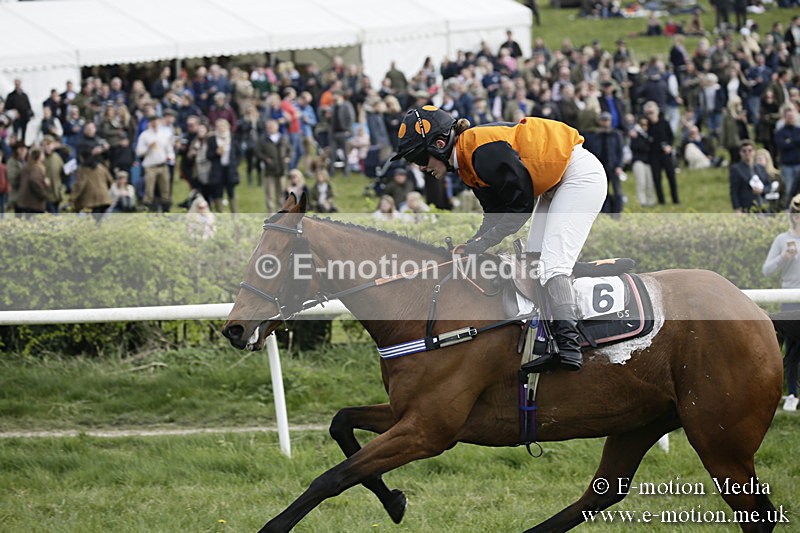 PtP 170417 383 - Old Berks Point-to-Point Lockinge 17/04/17