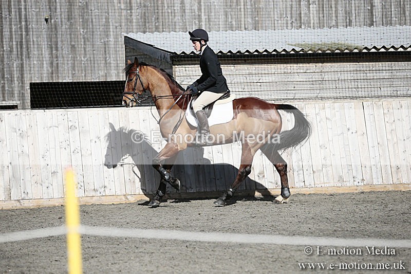 BVRC SJ 170319 361 - Bourne Valley Riding Club Showjumping 17/03/19