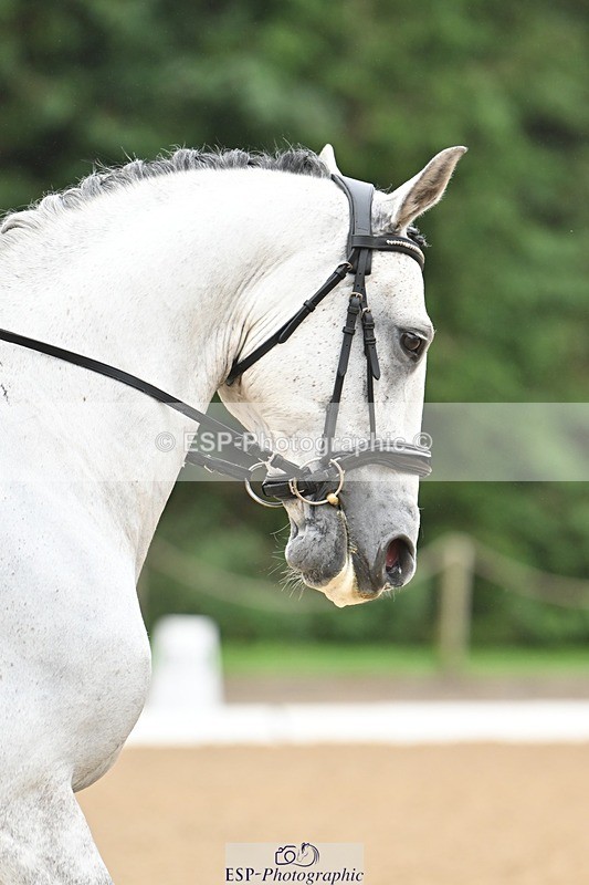 240811-093117-04552 - 140-Ali.Dane-Lidador