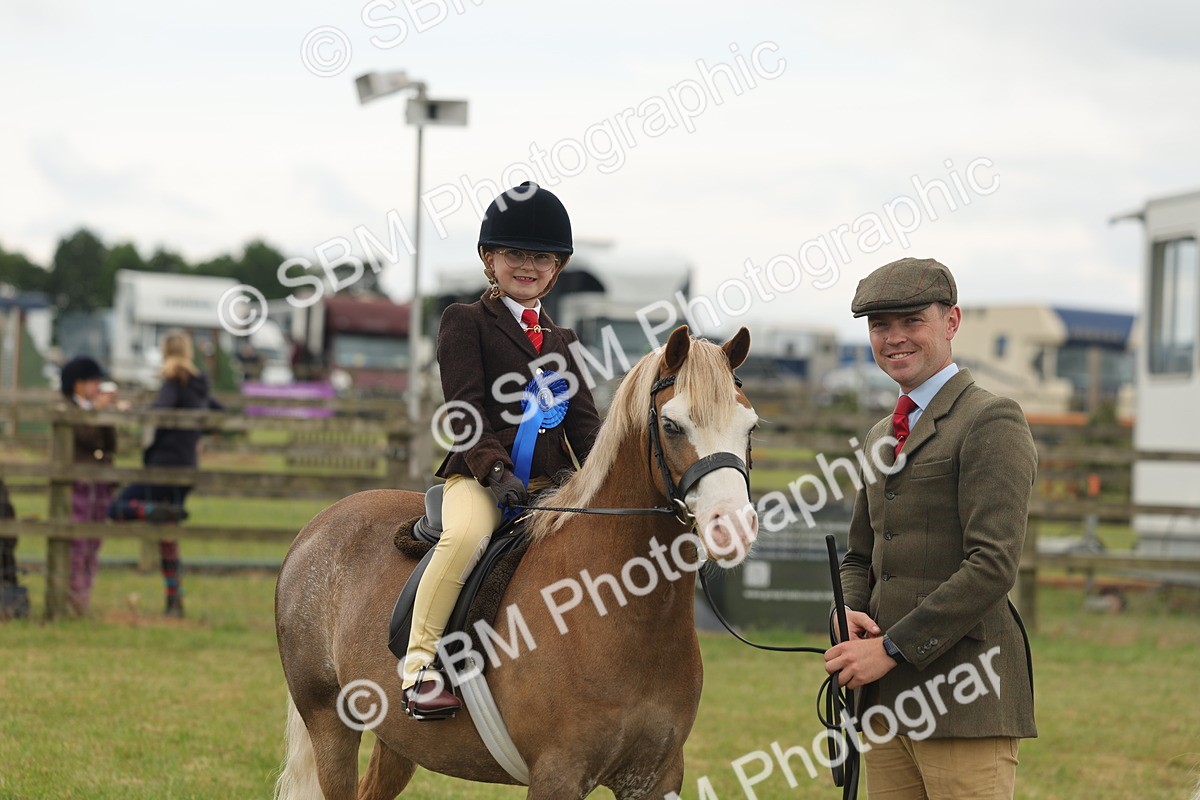 SBM_06807 - Class 74-75 - M&M Lead Rein and First Ridden Pony