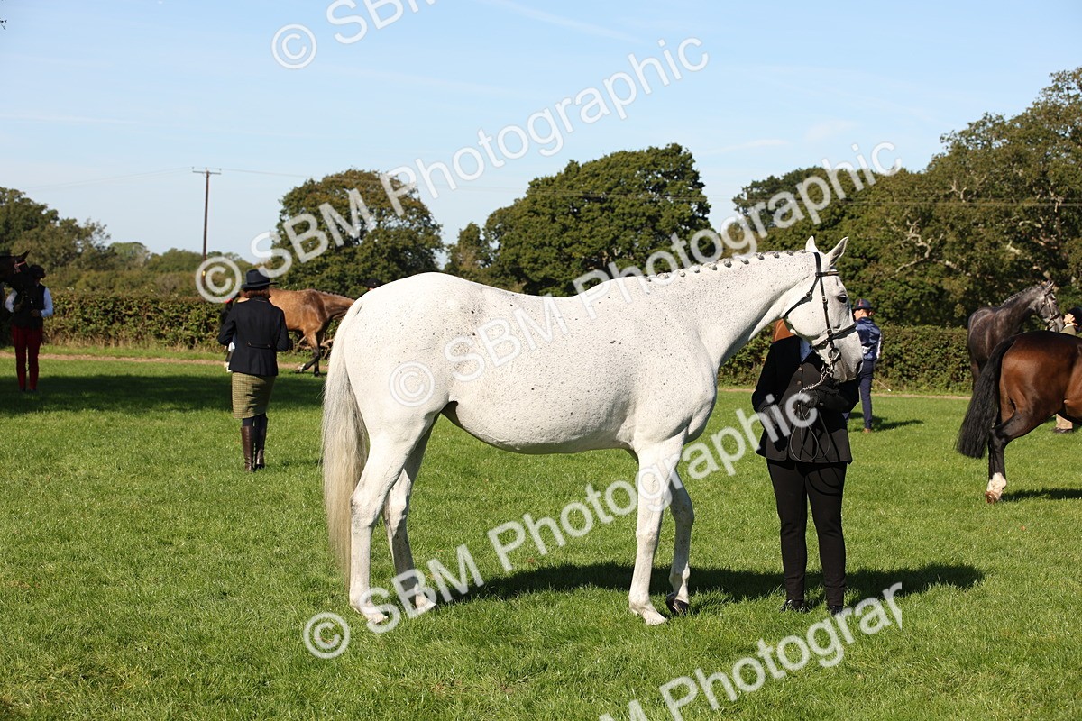 SBM_36616 - S10 - Best In Hand Horse & Pony