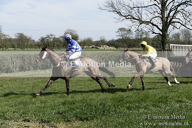 PtP 250317 103 - V.W.H. Hunt Point-to-Point Siddington 25/03/17