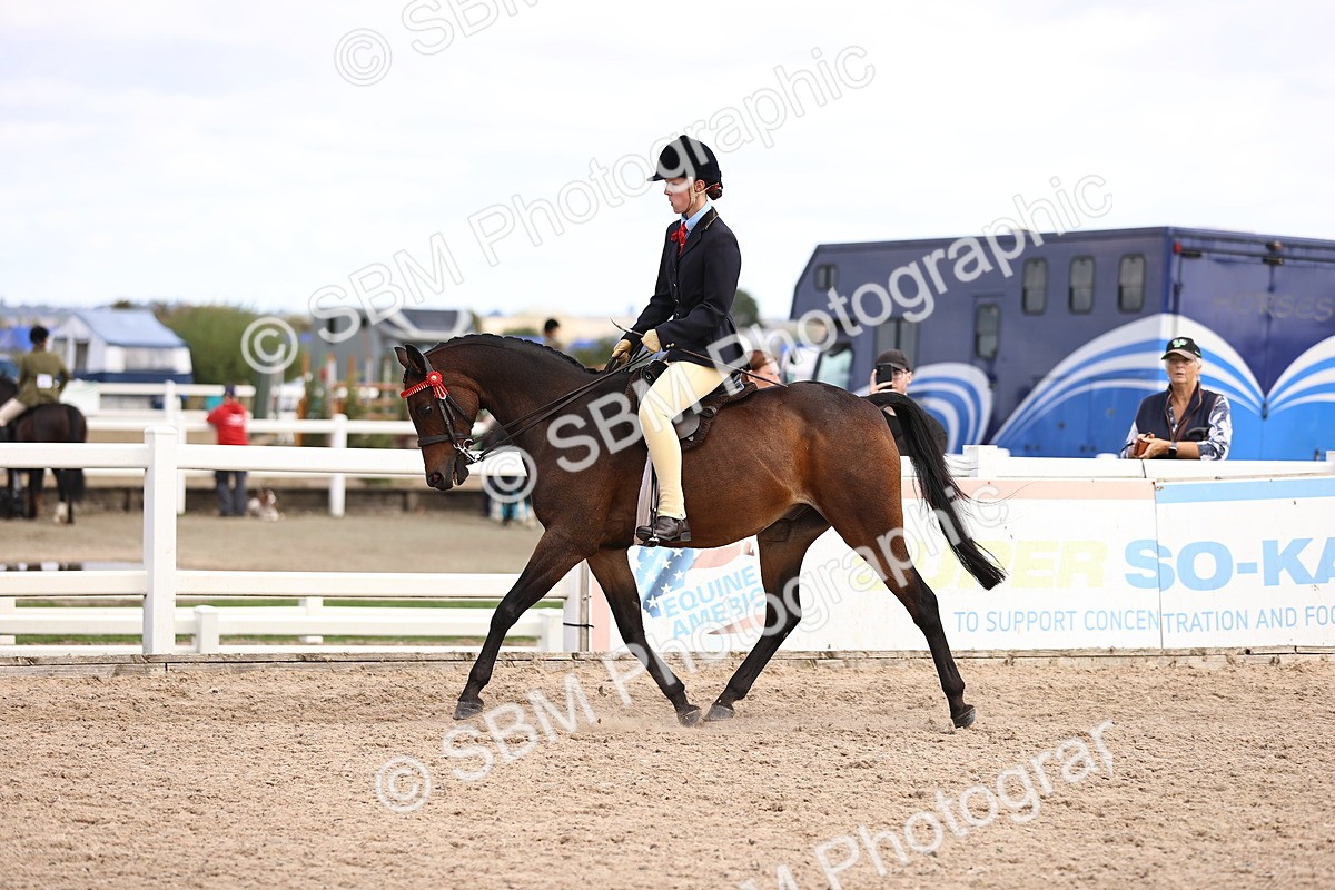 SBM_12842 - Class 409 - Grassroots Ridden - Pony