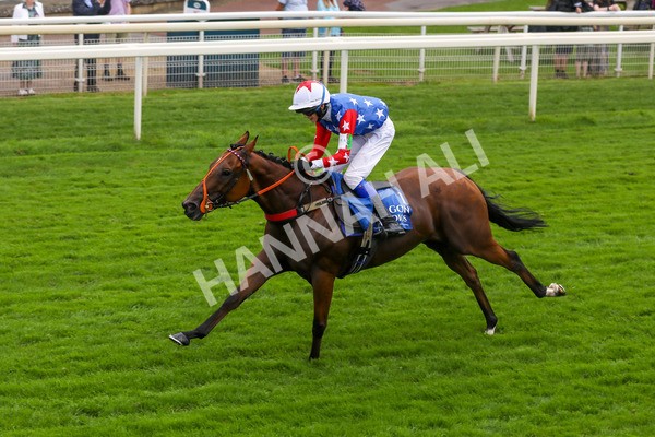 100923-Pony Race 1-Seal The Deal-3658 - Pony Race 1 12.25 The Dragon (TV and Film) Studios Pony Race 148cm & Under