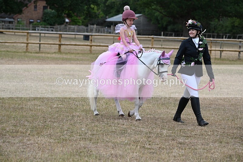 WJ6_8628 - Class 11 Fancy Dress