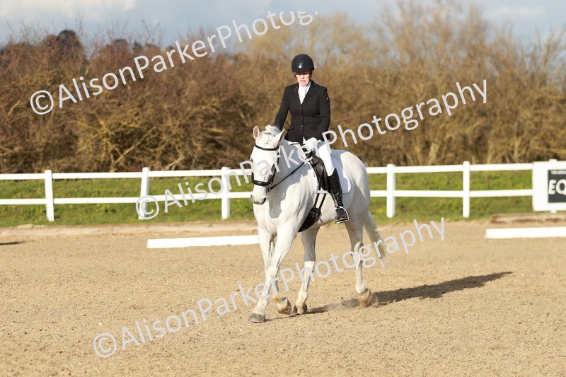 20260314-6263 - CT7 - Elementary 2