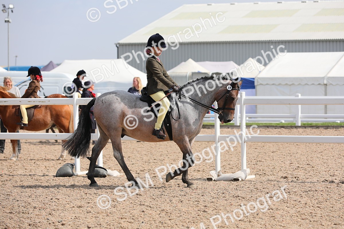 SBM_14685 - Class 310 First Ridden Pony