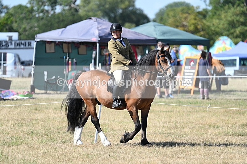 WJ7_3576 - Class 9 Mountain & Moorland Ridden