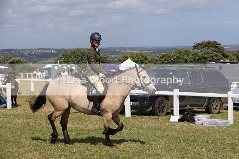 1X9A5540 - Class 38: NPS Novice Ridden Small and Large Breeds