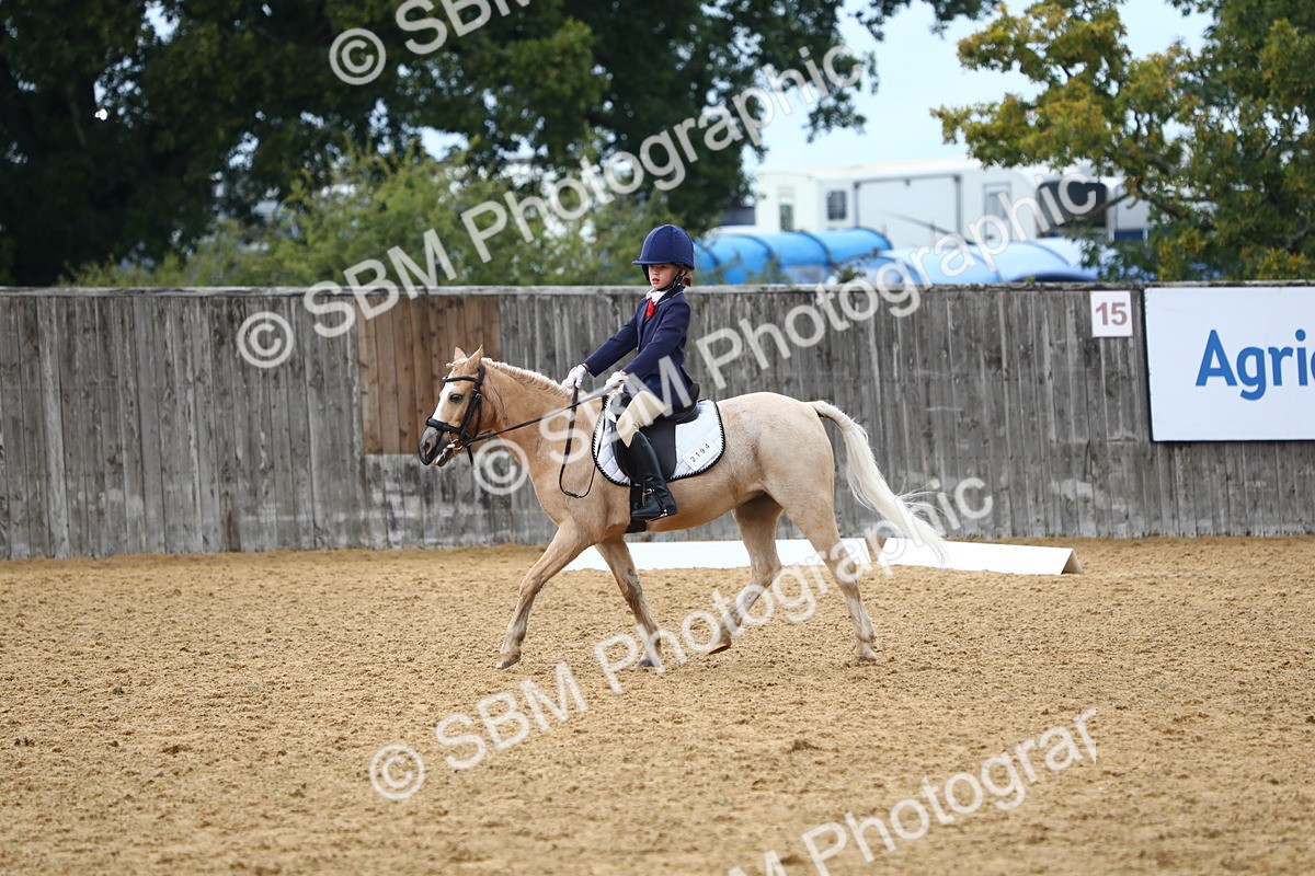 SBM_39056 - D21 - Junior Championship Intro 1