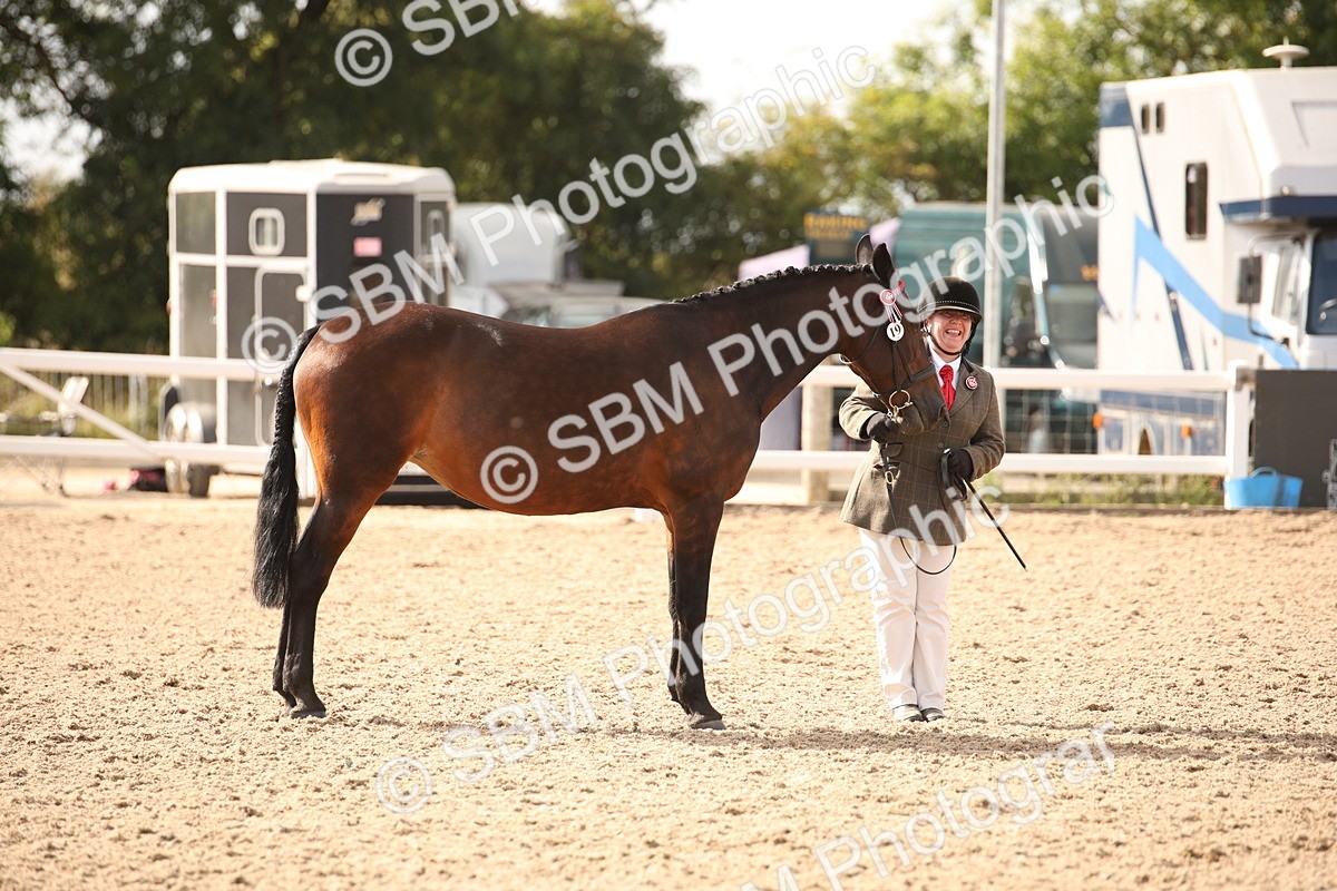 SBM_08179 - Class 27 - IH Competition Horse-Pony