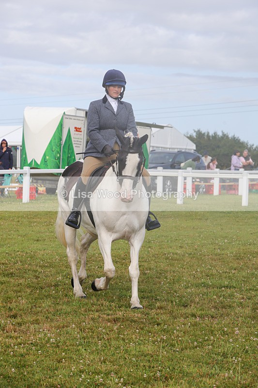 1X9A3063 - Class 26: Ridden Plaited Coloured Pony
