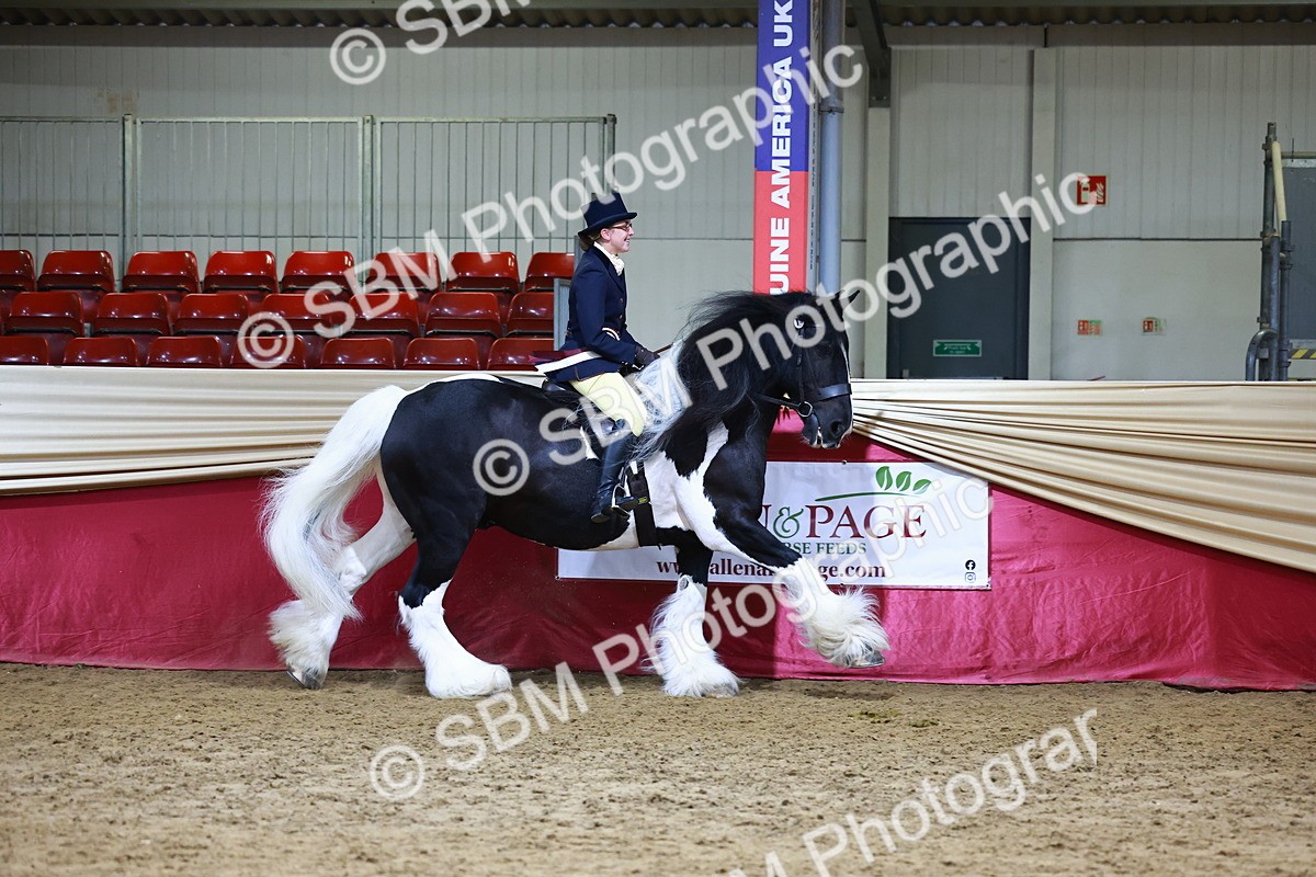 SBM_23594 - class 906 - Supreme Final - Ridden Pre Vet