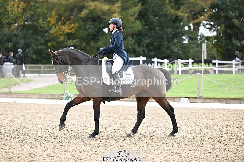 251023A-104704-01550 - B-131-Gemma.Gurvidi