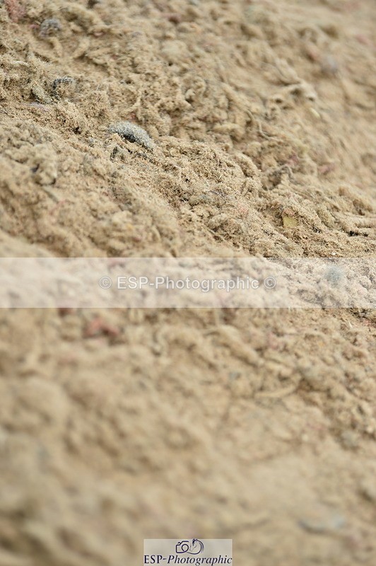 230720A-151646-03466 - Cls 17, 1 Star Silver 1.20m