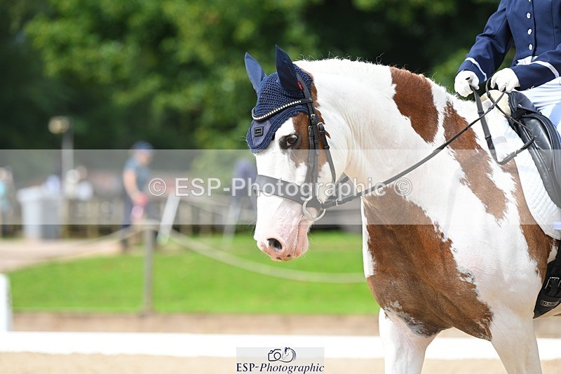 230813-112534-06592 - Cls 12 Elem Silver 10.35 to End