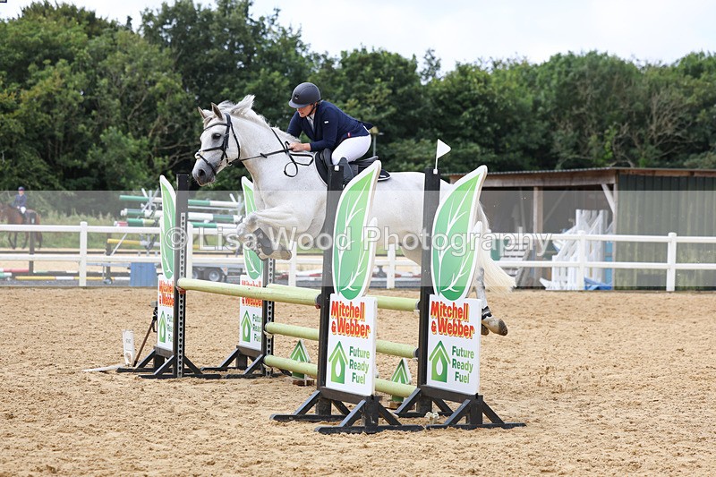 3E7A0118 - Class 9: Senior British Novice/90cm open