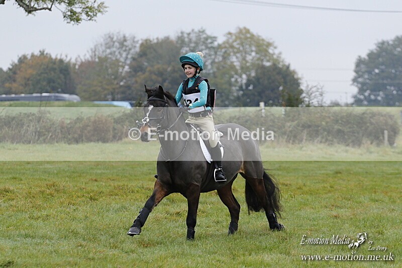 WWHT 181020 WWHT 181020 238 - WWEC Novice Restricted (0.80m) 18/10/20