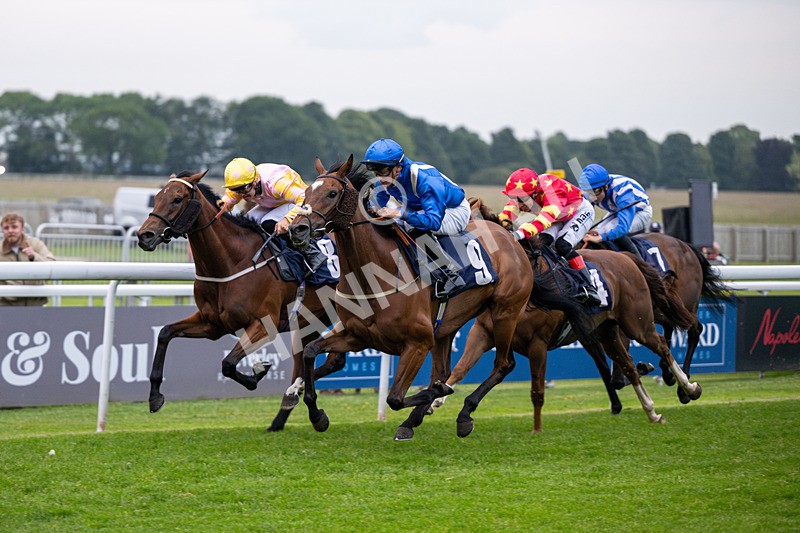 160626-Race 6-Regal Glory-5698 - Race 6 21.00pm Napoleons Casino And Restaurant Hull Handicap