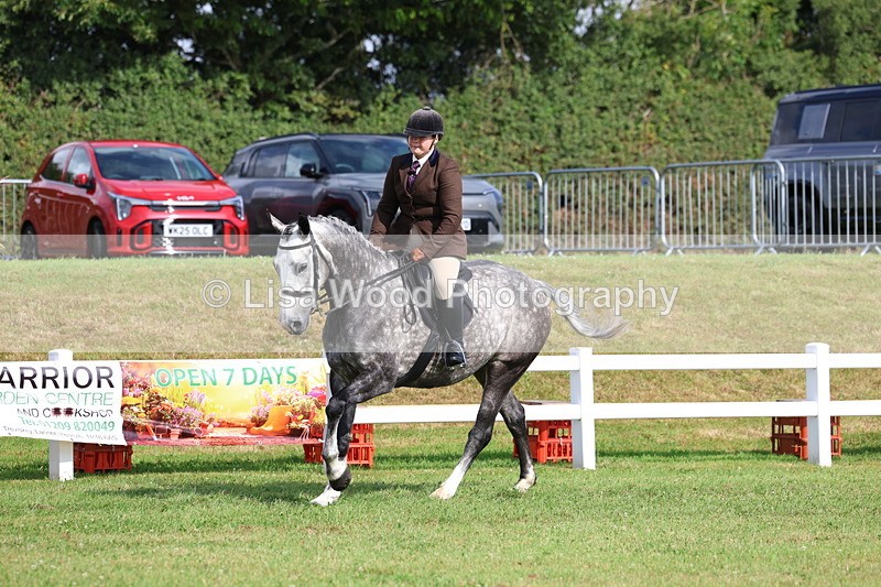 3E7A8841 - Class 3: Rising Star S/L Hunter