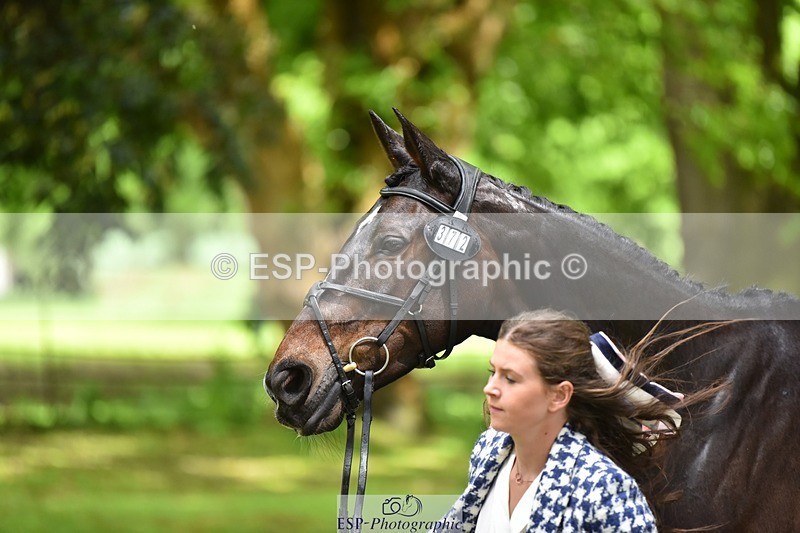 240522-153926-00507 - 372-PENCOS_CROWN_JEWEL-Millie_Juleff