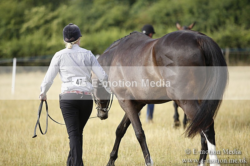 _C7A9130 - BVRC Sow 2018 Ring 2