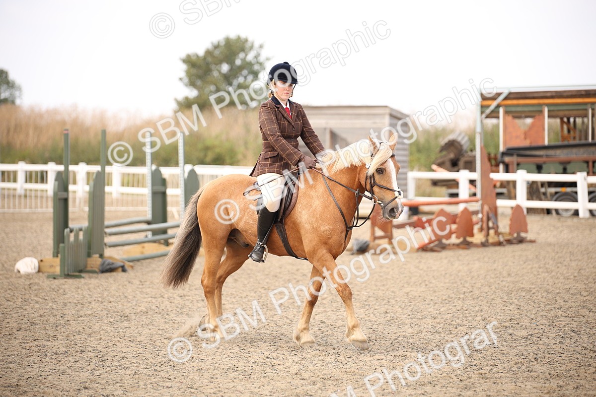 SBM_15987 - Class 408b - Working Veteran 70cm (20+)