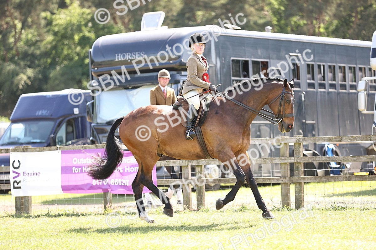 SBM_18102 - Class 81-83 - TSR Ridden Amateur of the Year - Horses