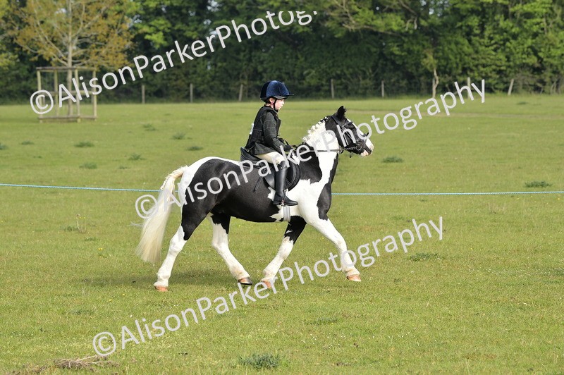 20260426-0879 - Class 18 - Novice Showing