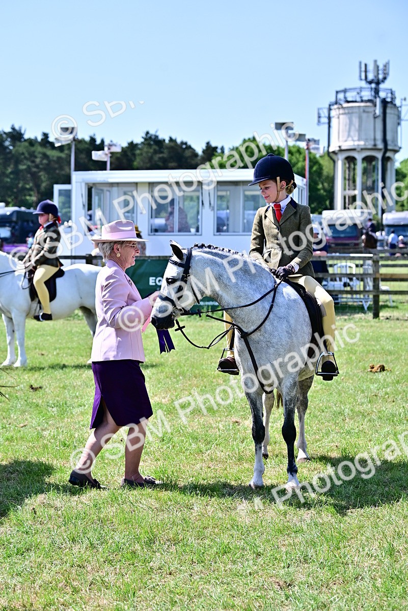 SBM_14034 - Class 95-97 - BSPS LHS Performance Ponies