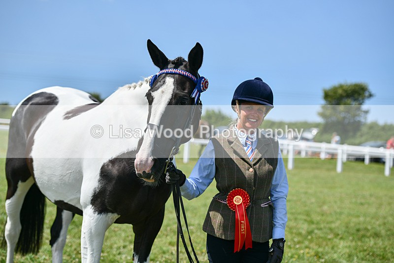 DSC_7882 - Class 65: Coloured Horse 4yrs & Over