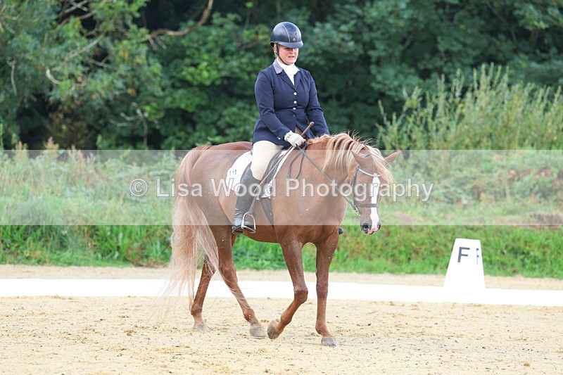 3E7A1926 - Class 1: Intro 4 2024 section A