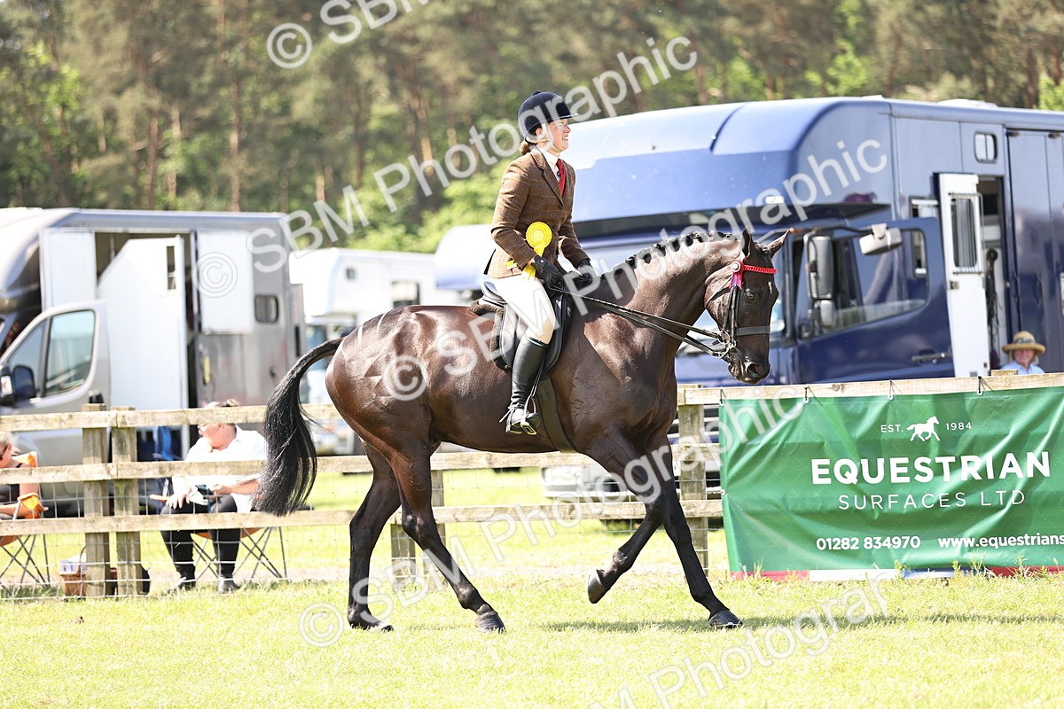SBM_13053 - Class 75-76 LIHS BSHA Rising Star Hack Riding Horse