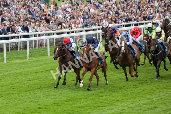 250524-Race 1-Tiriac-2961 - Race 1 1.35pm William Hill Keep Your Raceday Positive Handicap