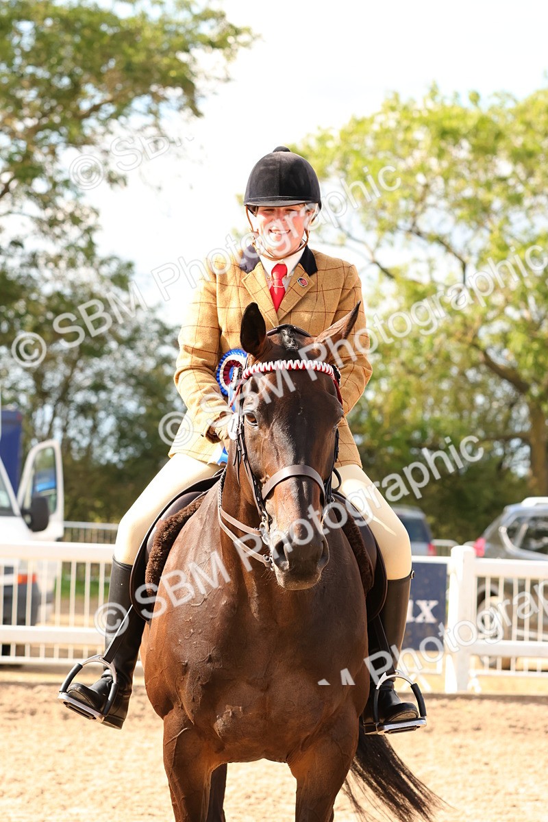 SBM_16293 - Class 217 - Ridden Retired Racehorse