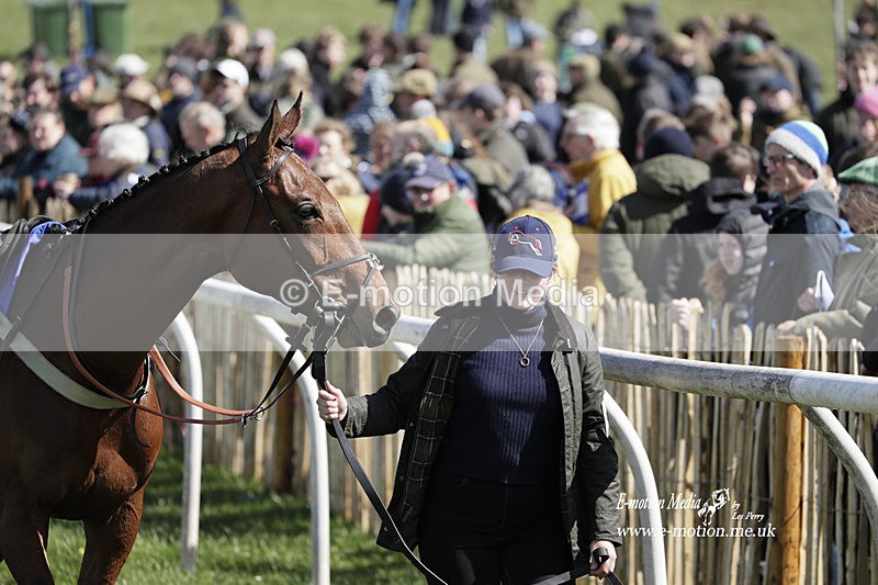 PtP 100423 481 - Old Berkshire Point-to-Point Lockinge 10/04/23