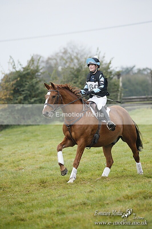 WWHT 181020 WWHT 181020 412 - WWEC Open Novice (0.80m) 18/10/20