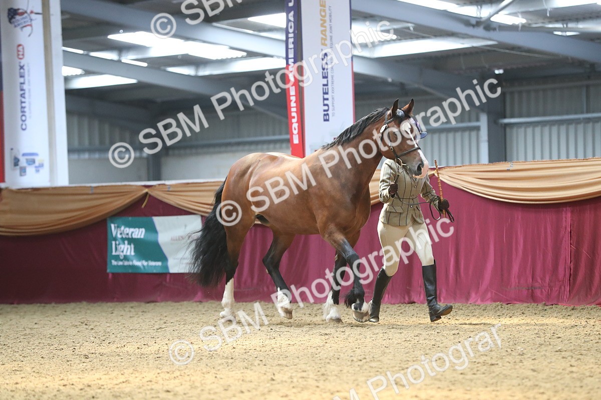 SBM_15177 - Class 501 M&M IH Supreme Final