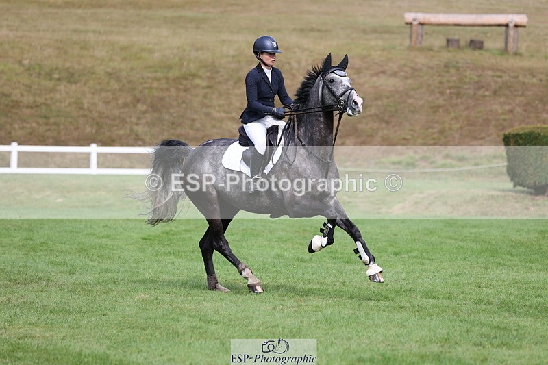 250830A-102905-04870 - Cls 14 HOYS Grade C Quali