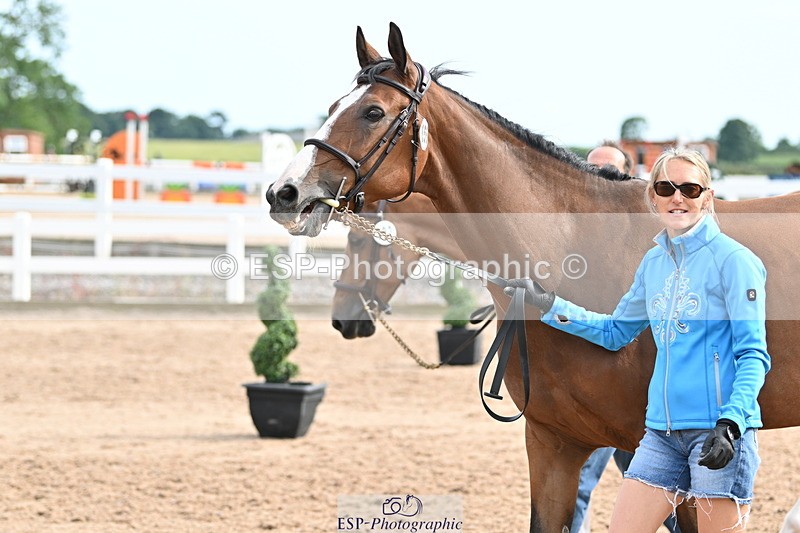 240717A-165549-03549 - Trot Up 4pm to 5pm