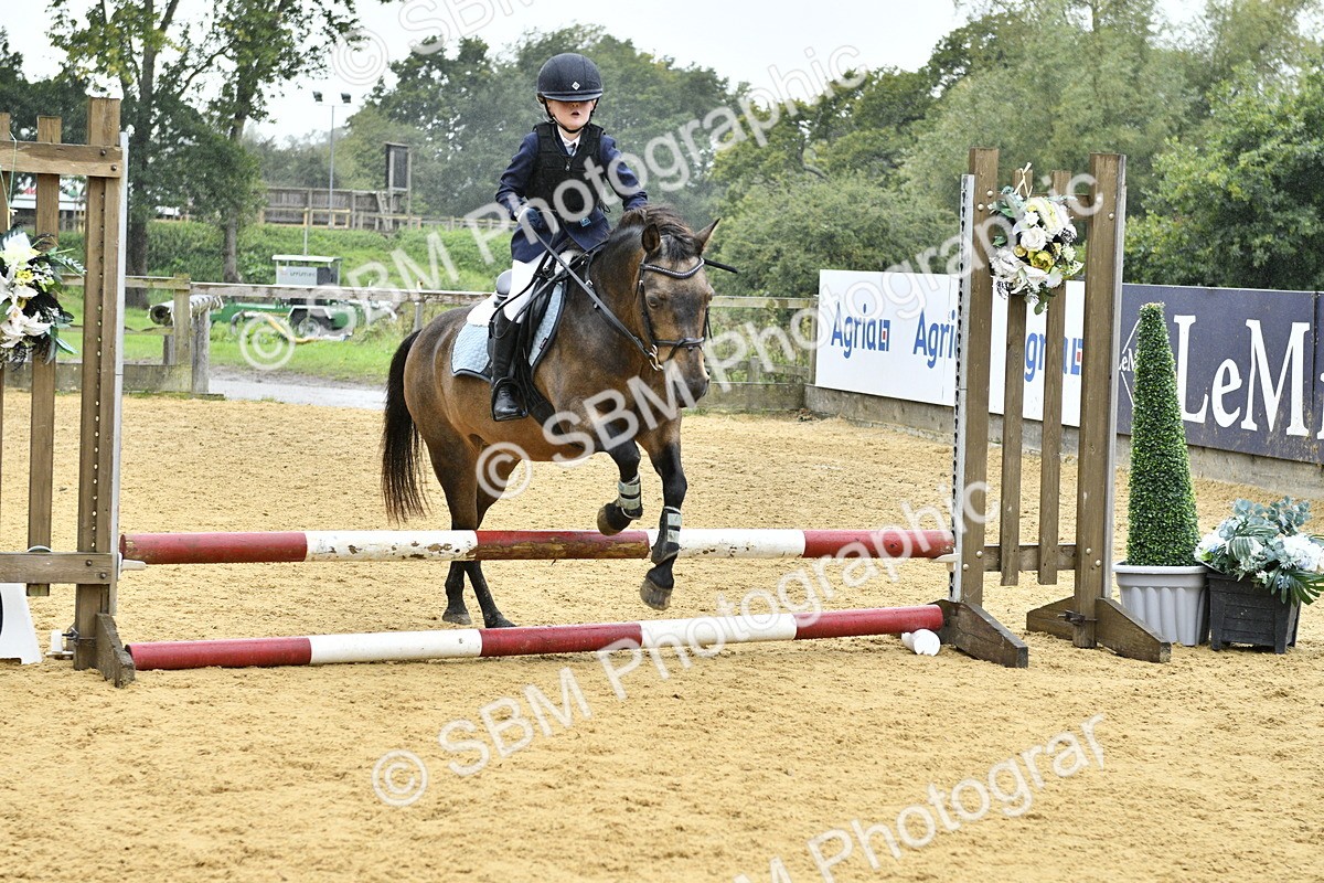 SBM_70881 - J3 - Mini Tour Junior Pony 40cm championship